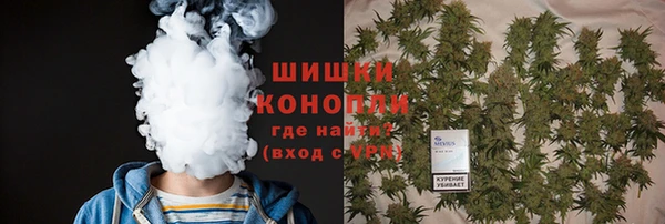 круглые Белокуриха