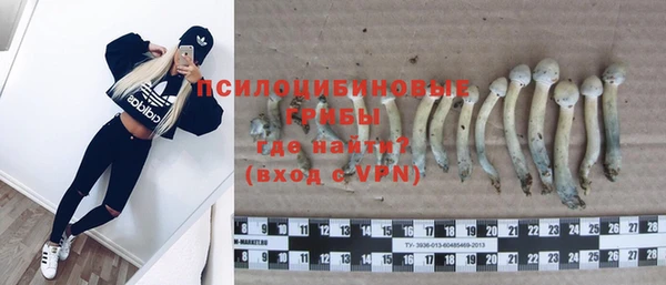 эйфоретик Беломорск