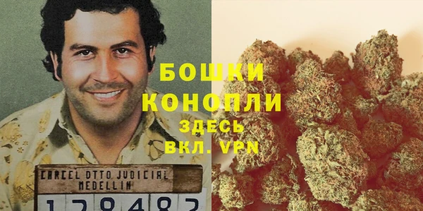 круглые Белокуриха