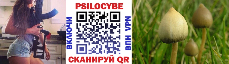 Псилоцибиновые грибы Cubensis  где купить наркотик  Хабаровск 